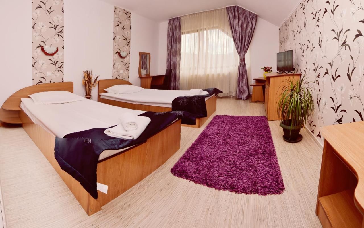 Гостевой дом Pensiunea Moldova Пьятра-Нямц-18