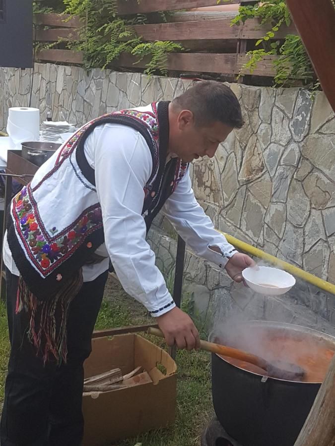 Гостевой дом Pensiunea Moldova Пьятра-Нямц-29