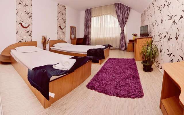 Гостевой дом Pensiunea Moldova Пьятра-Нямц-17